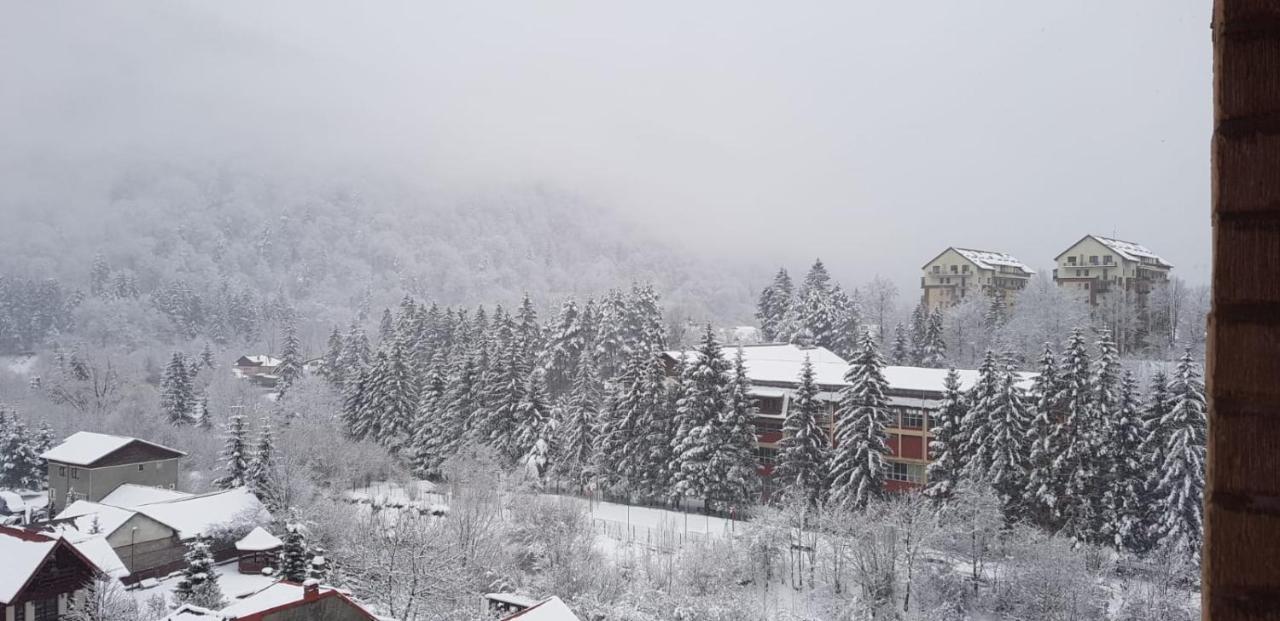 Elite Apartments Sinaia Dış mekan fotoğraf