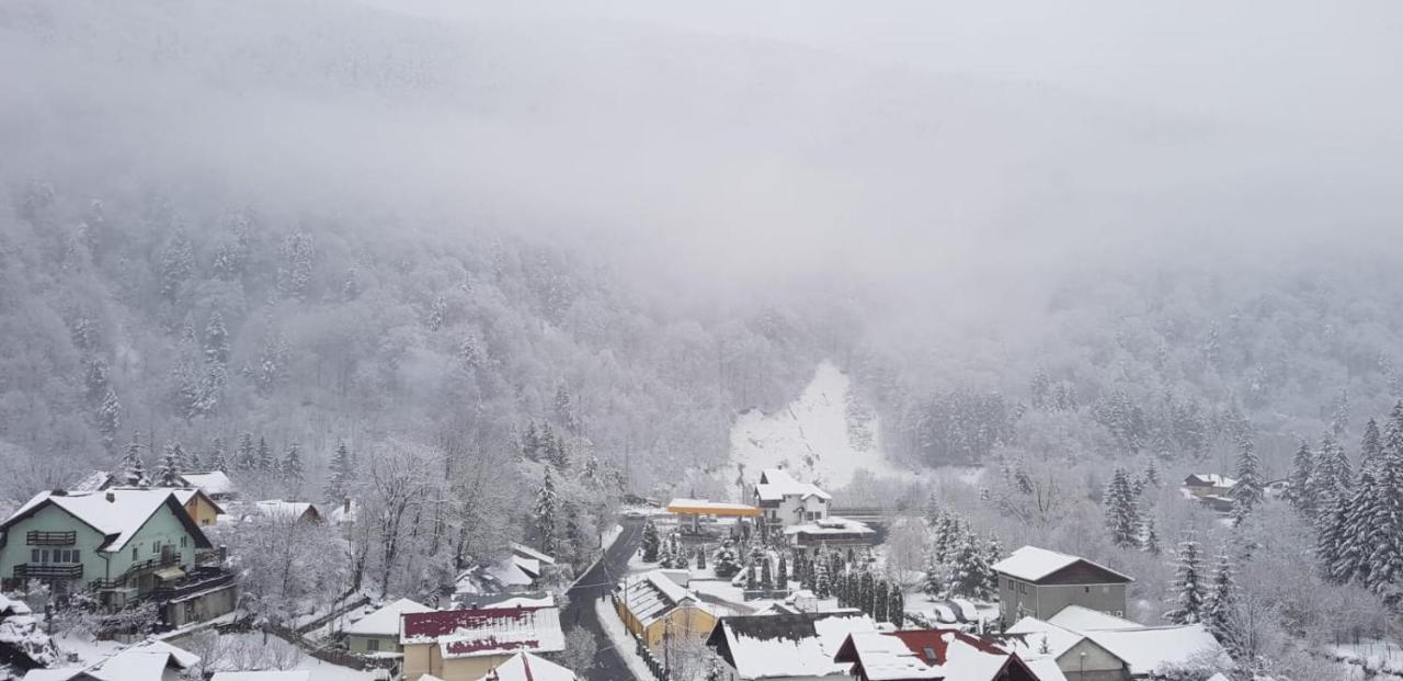 Elite Apartments Sinaia Dış mekan fotoğraf